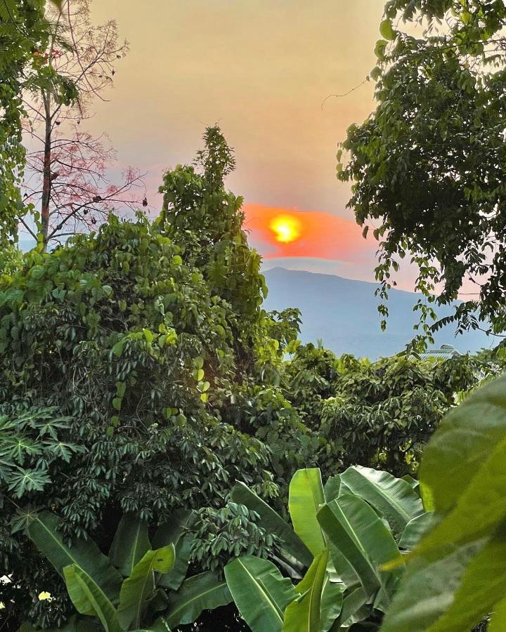Отель Babinda Quarters Экстерьер фото